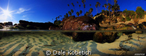 Panorama double wide half above half below image experime... by Dale Kobetich 